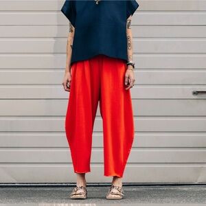 ROUCHA Heavy Point Pant NWT